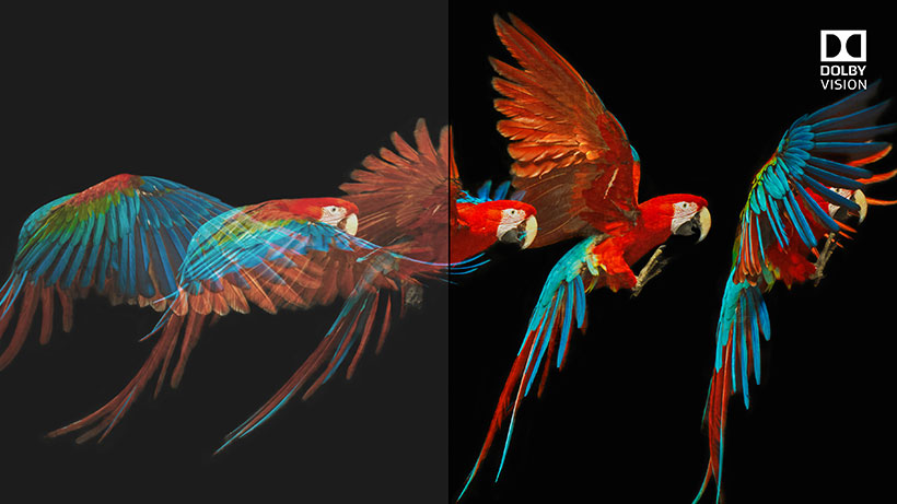 Dolby Vision side-by-side comparison